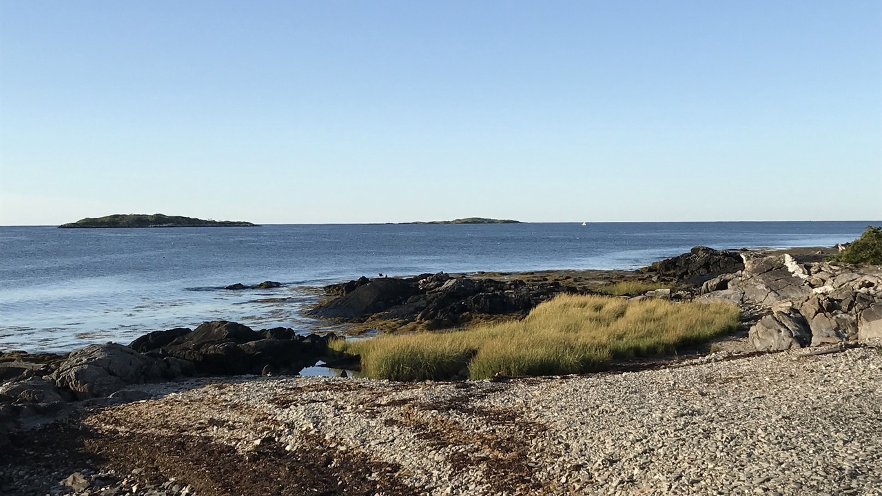 Photo of Others in Orrs Island