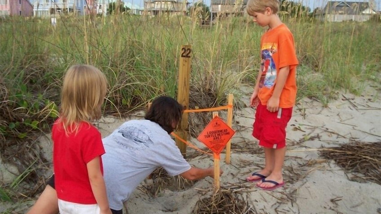 Photo of Others in Oceanmarsh Subdivision