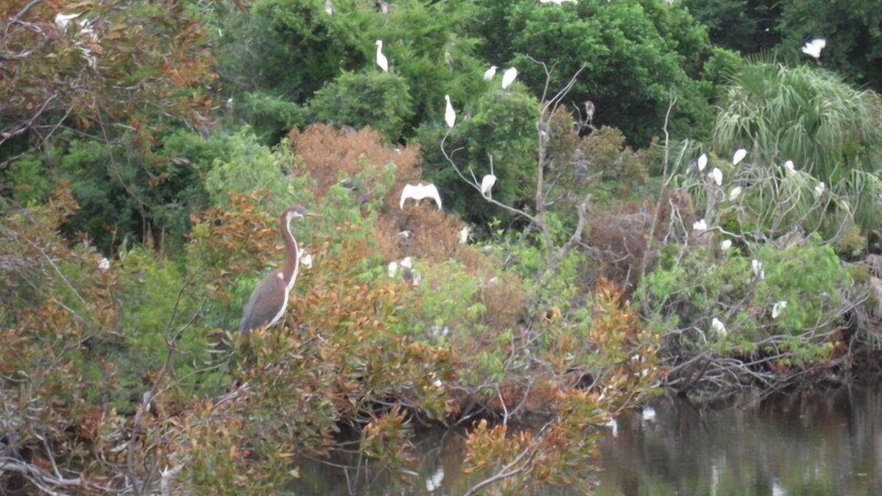 Photo of Others in Oceanmarsh Subdivision