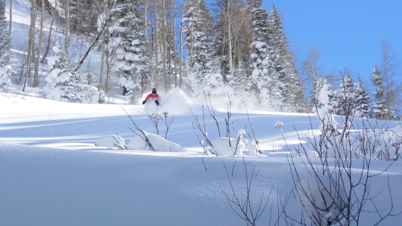 Photo of Others in Salt Lake Mountain Resorts