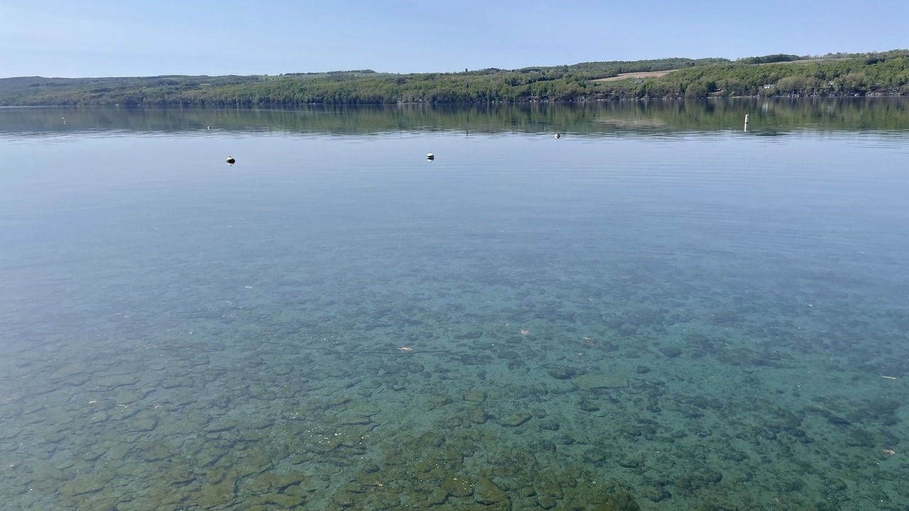 Photo of Others in Skaneateles