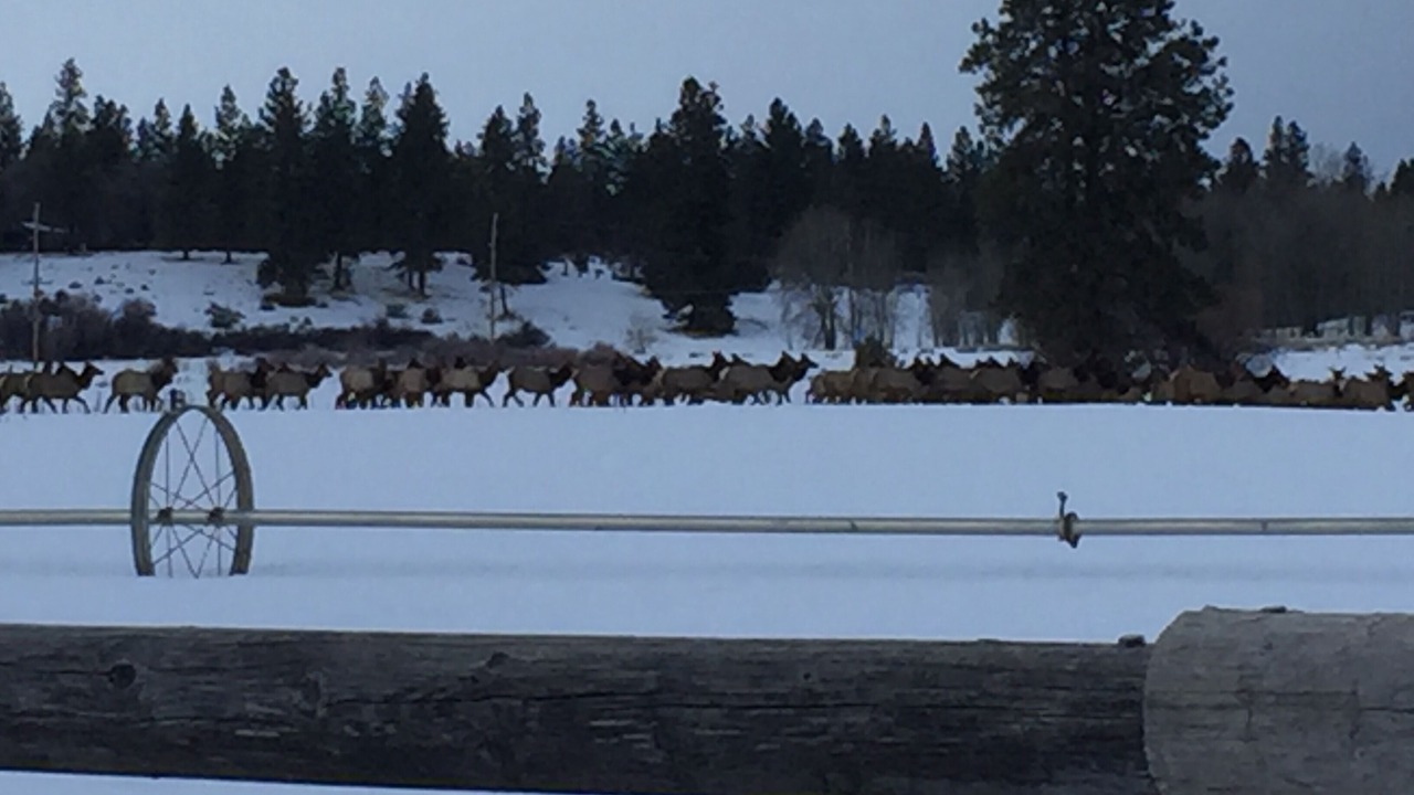 Photo of Others in Chiloquin