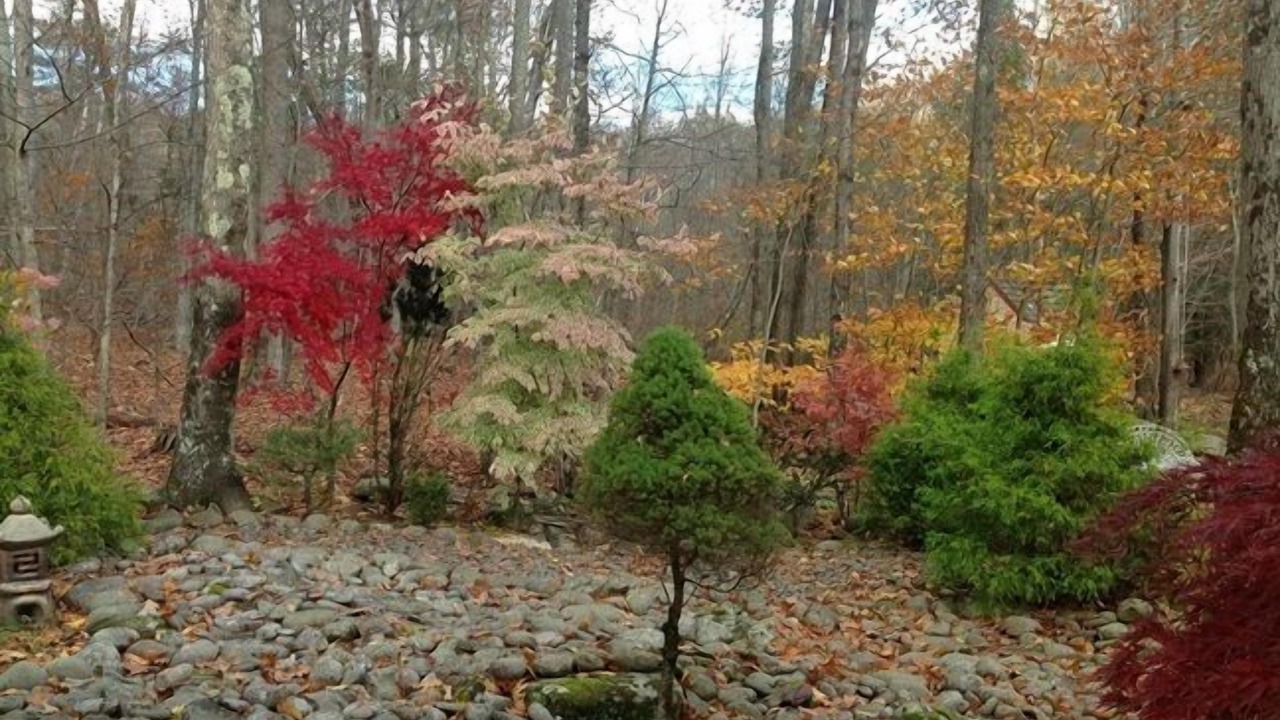 Photo of Outdoor in Shandaken