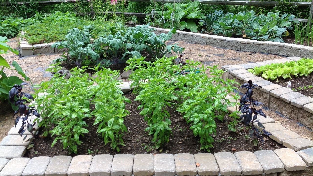 Photo of Outdoor in Shandaken