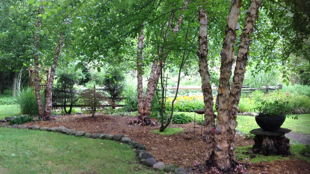 Photo of Outdoor in Shandaken