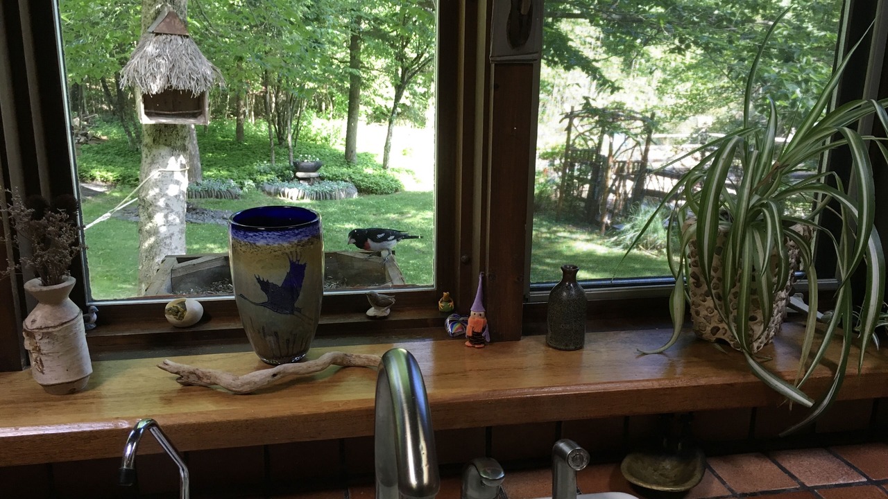 Photo of Outdoor in Shandaken