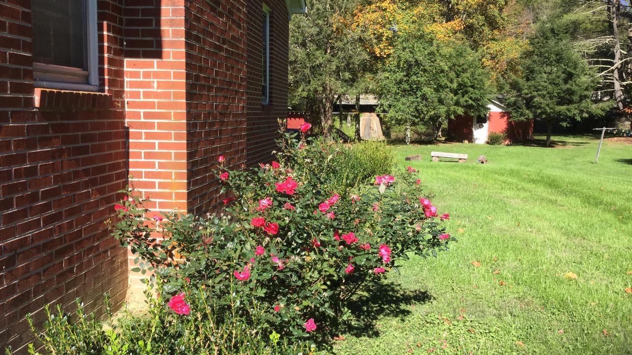 Photo of Outdoor in Marion