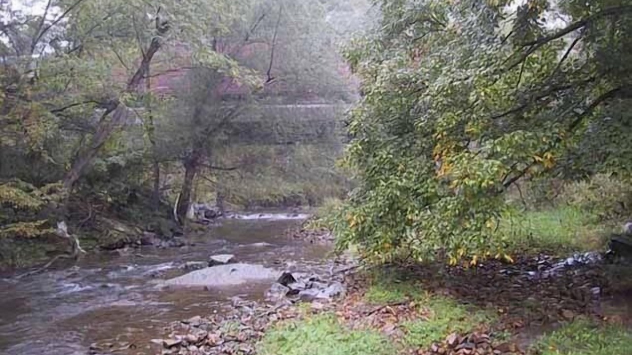 Photo of Others in Marion