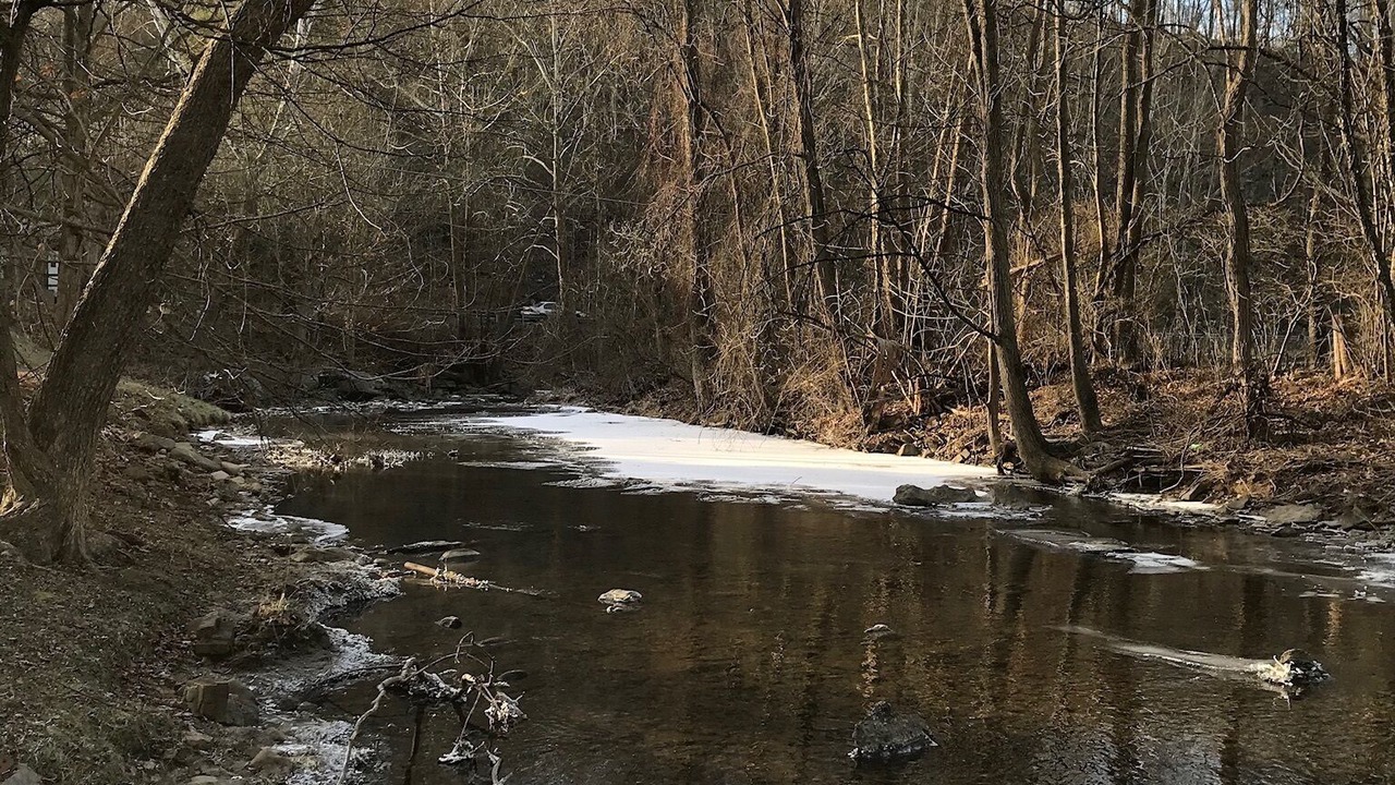 Photo of Others in Marion