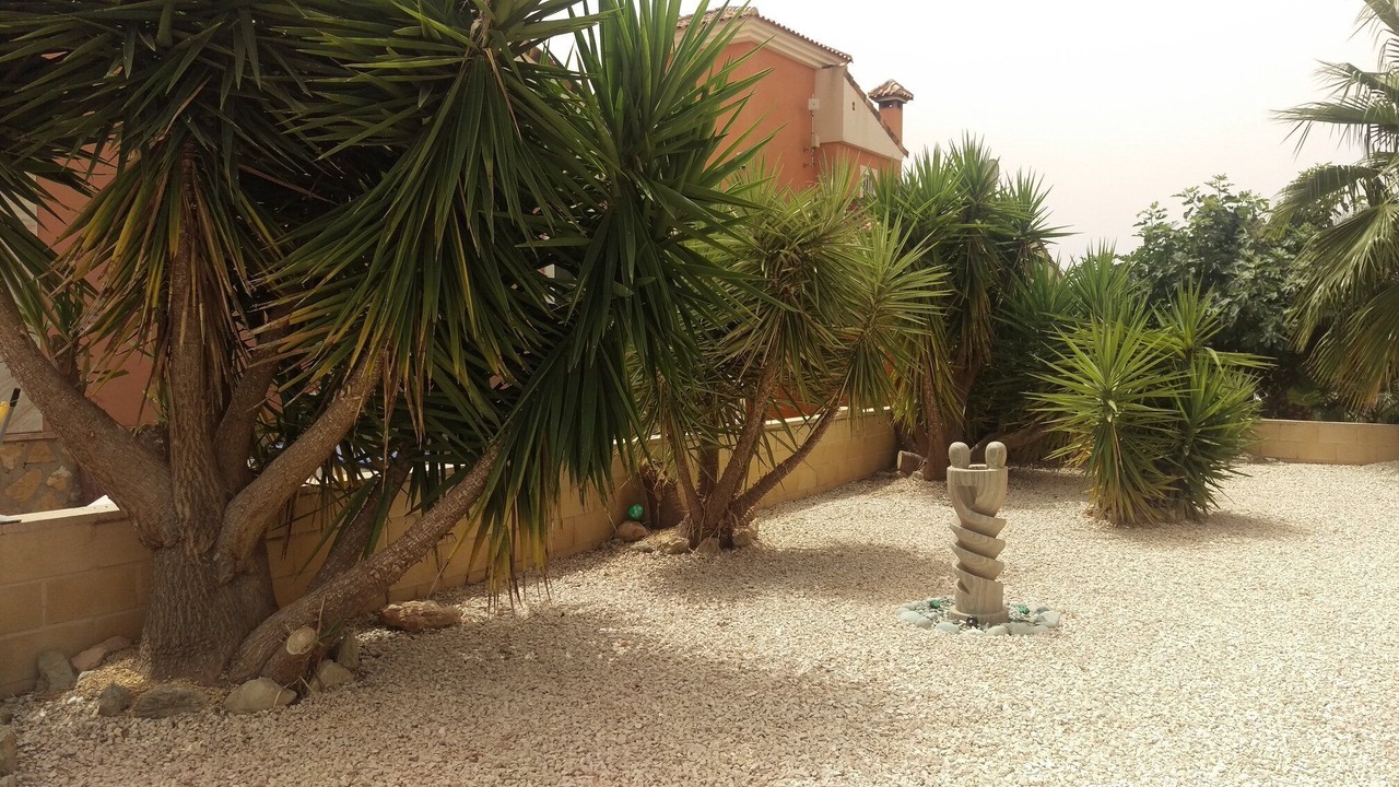 Photo of Outdoor in Hondon de las Nieves
