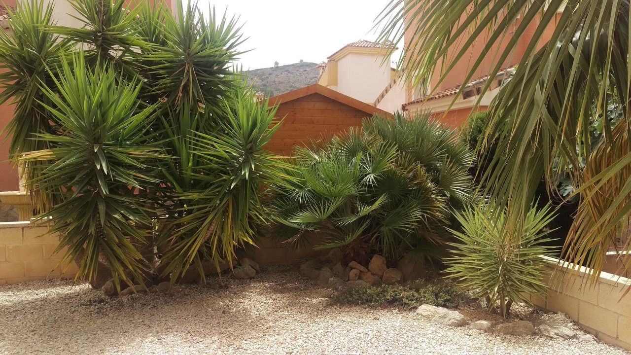 Photo of Outdoor in Hondon de las Nieves