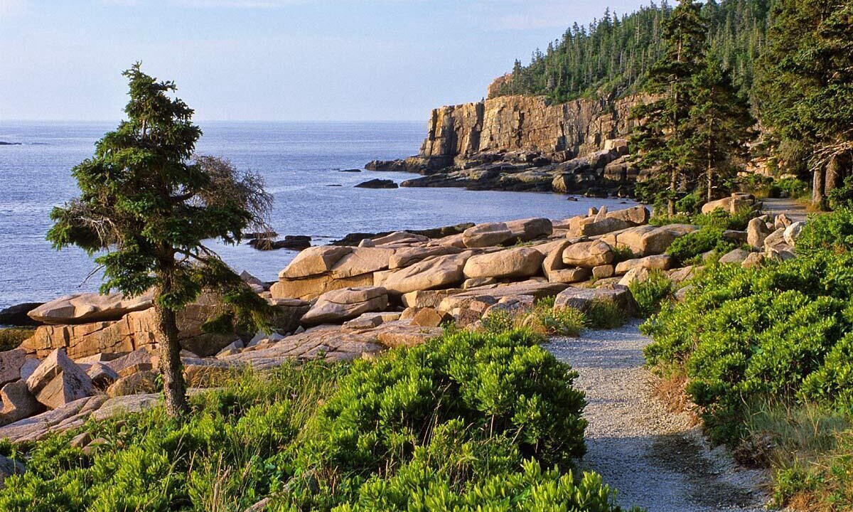 Photo of Others in Southwest Harbor