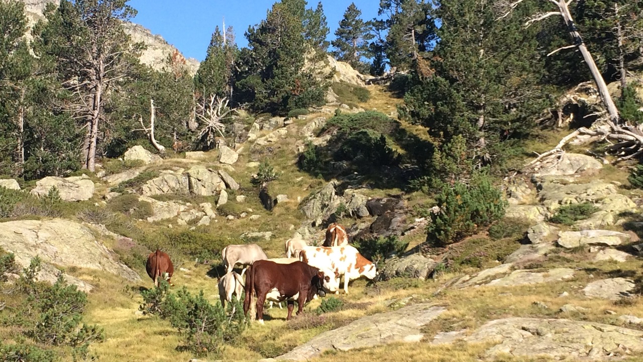 Photo of Outdoor in Aragnouet
