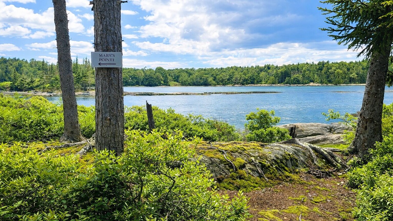 Photo of Others in Sebascodegan Island