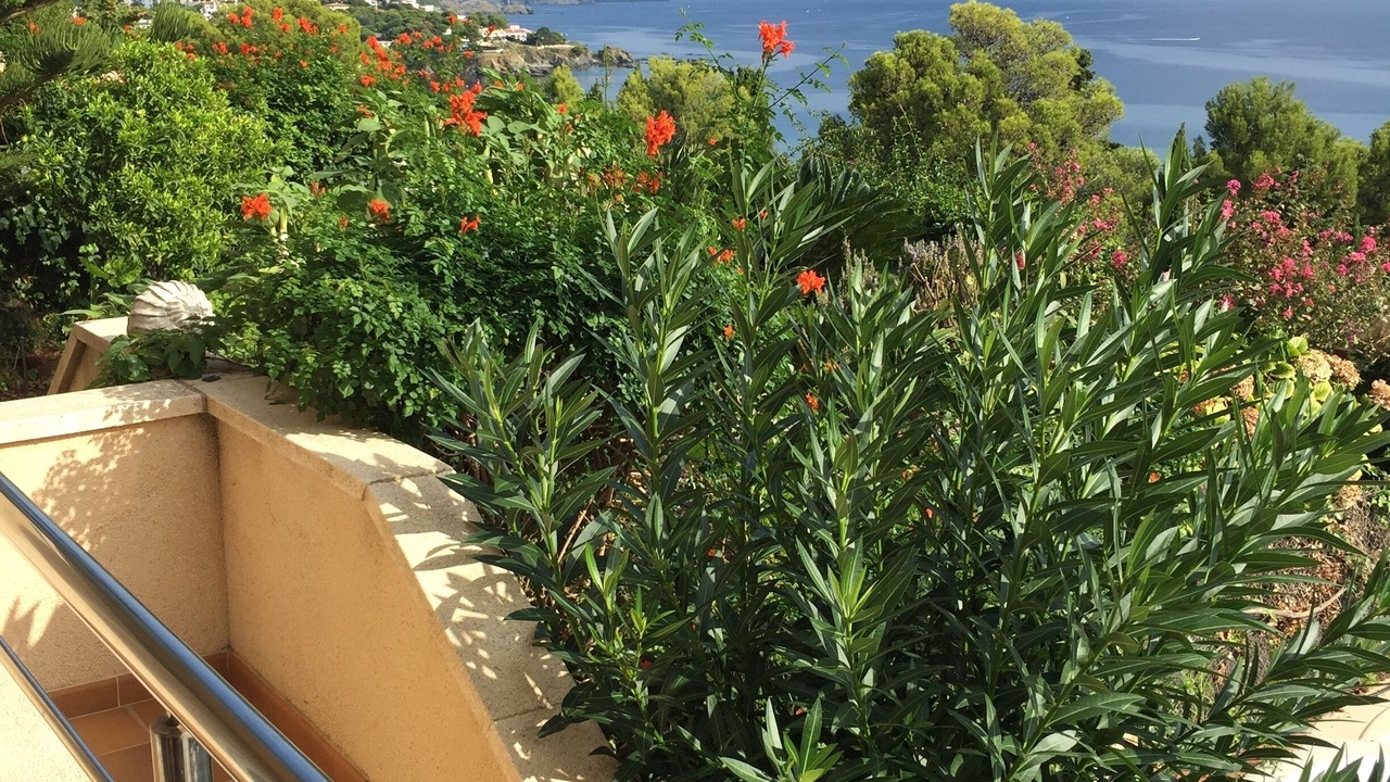 Photo of Outdoor in Llanca