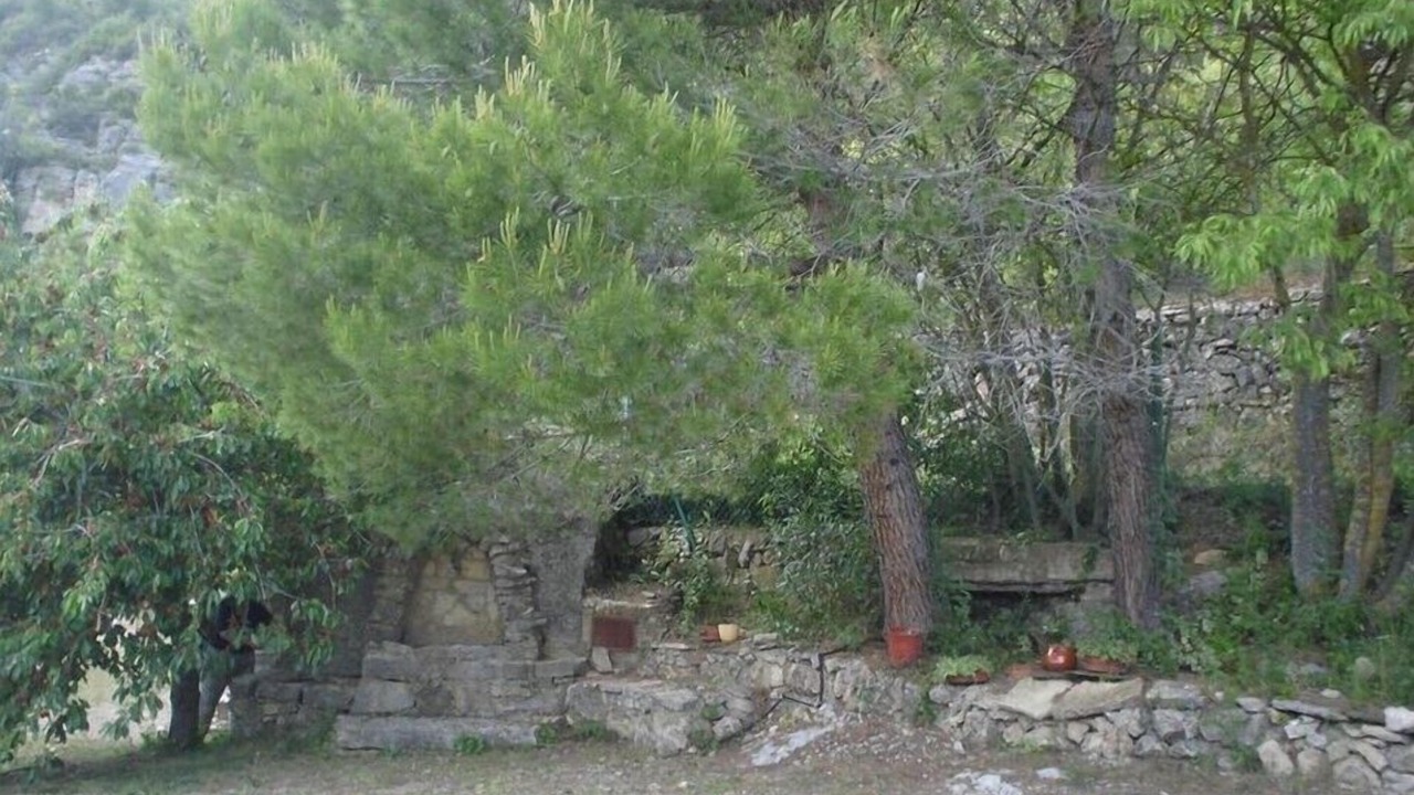 Photo of Outdoor in Arboli