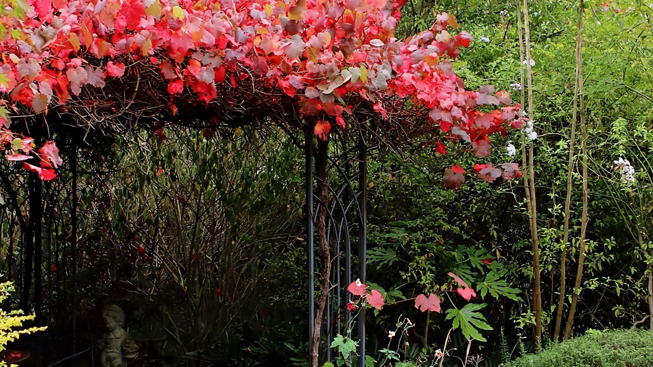 Photo of Outdoor in Korumburra