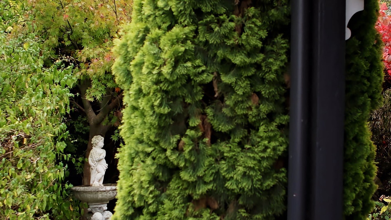 Photo of Outdoor in Korumburra