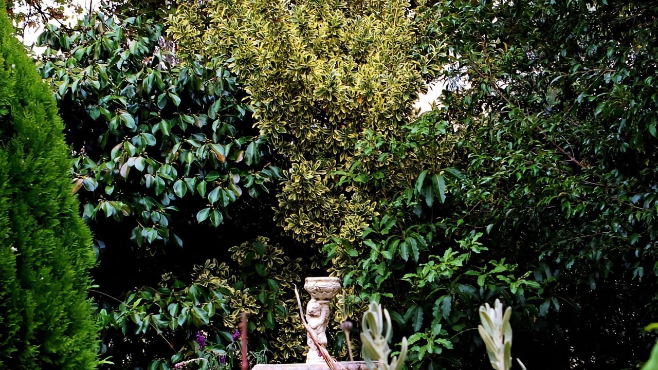 Photo of Outdoor in Korumburra