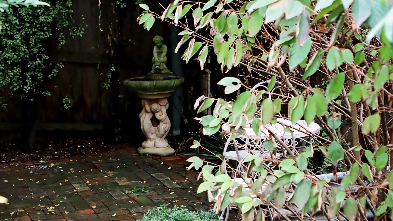 Photo of Outdoor in Korumburra