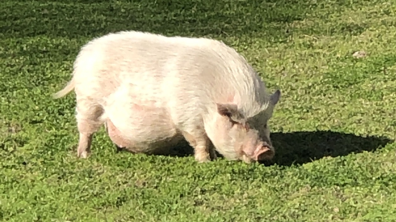 Photo of Others in East Riverside - Oltorf