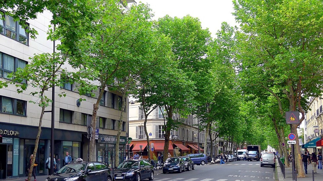 Photo of Others in Quartier Sainte-Marguerite