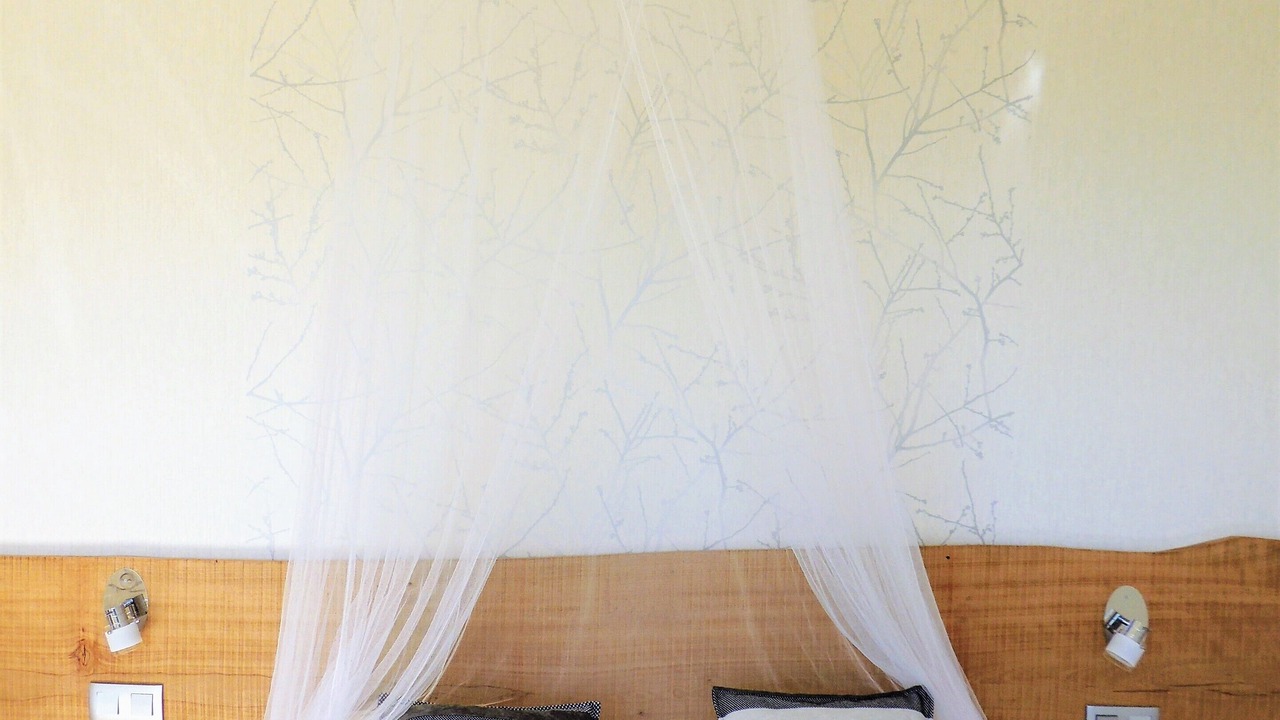 Photo of Bedroom in Montesquieu-des-Alberes