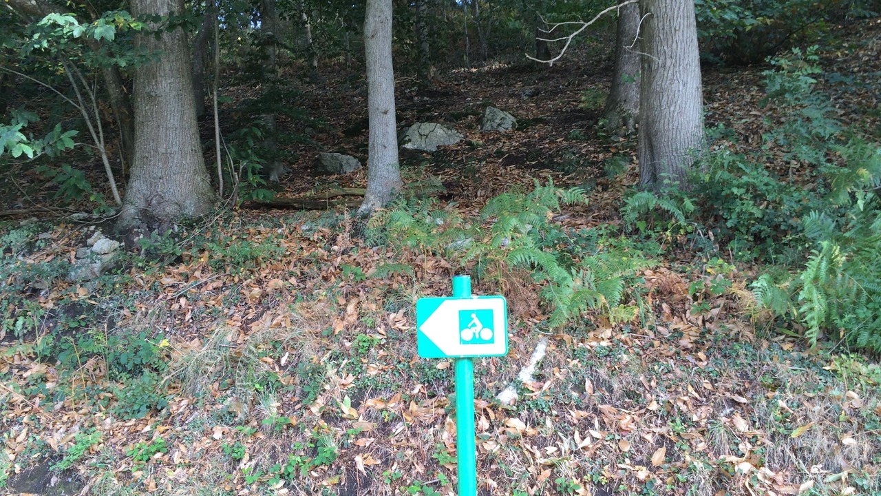 Photo of Outdoor in Plouguin