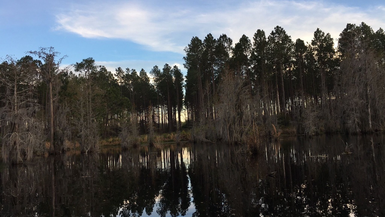 Photo of Others in Blackshear