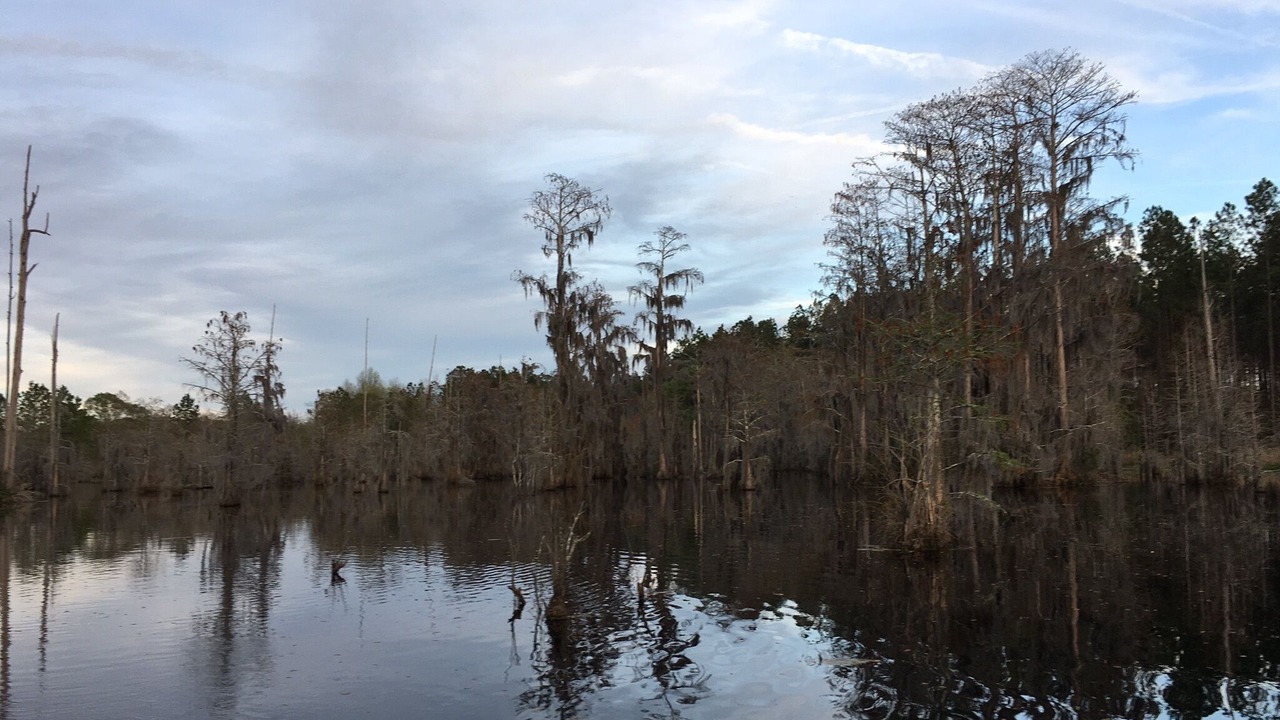 Photo of Outdoor in Blackshear