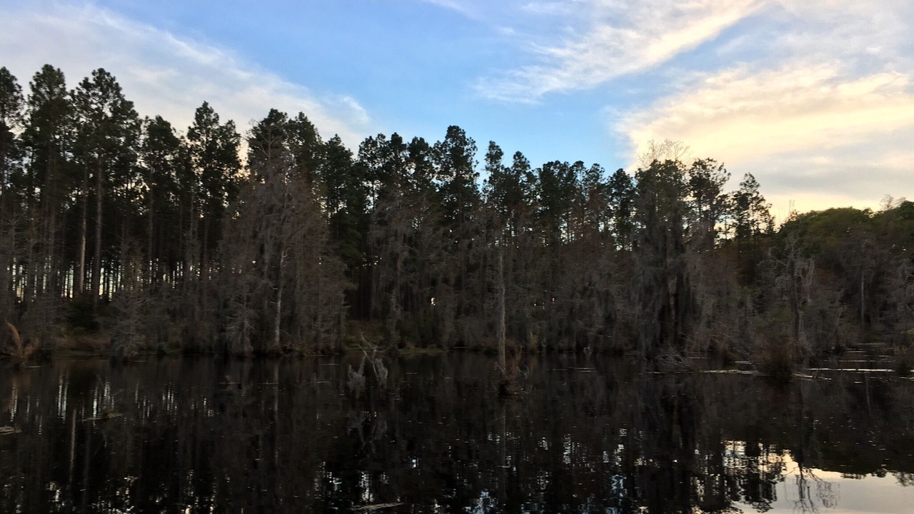 Photo of Others in Blackshear