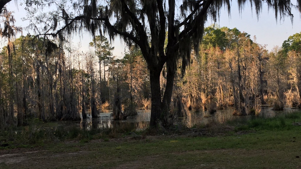 Photo of Outdoor in Blackshear