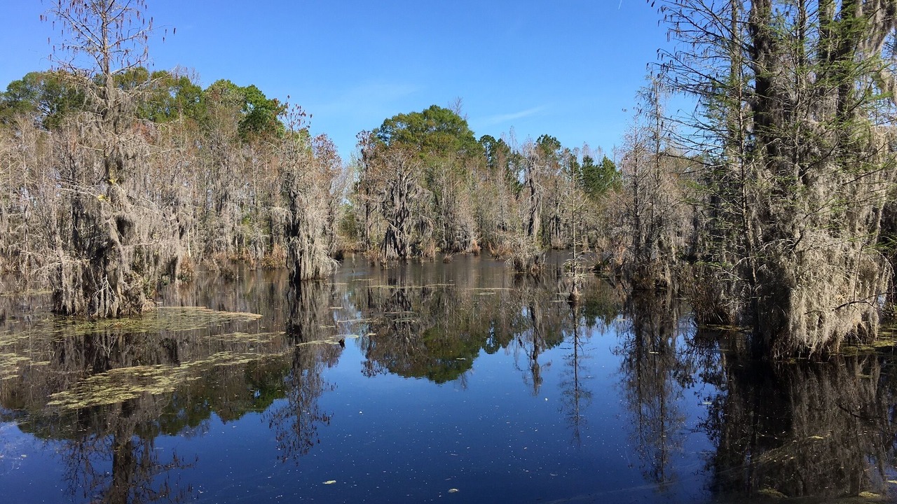 Photo of Outdoor in Blackshear