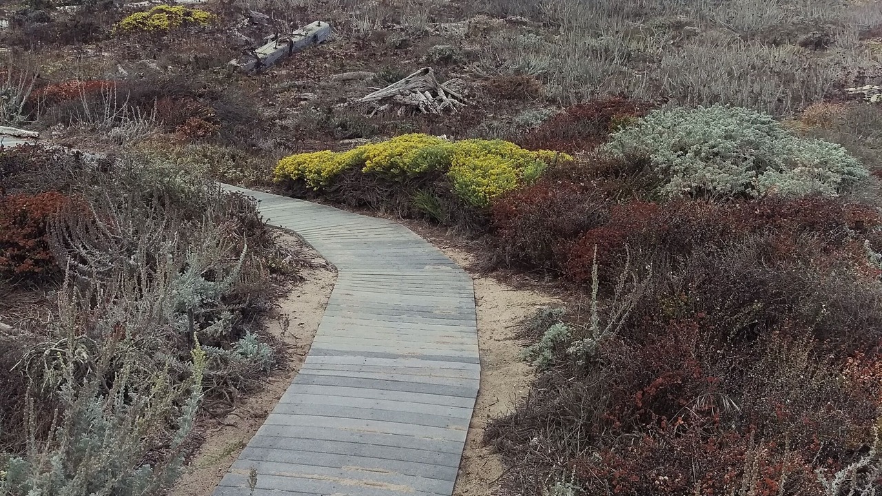 Photo of Others in Castroville