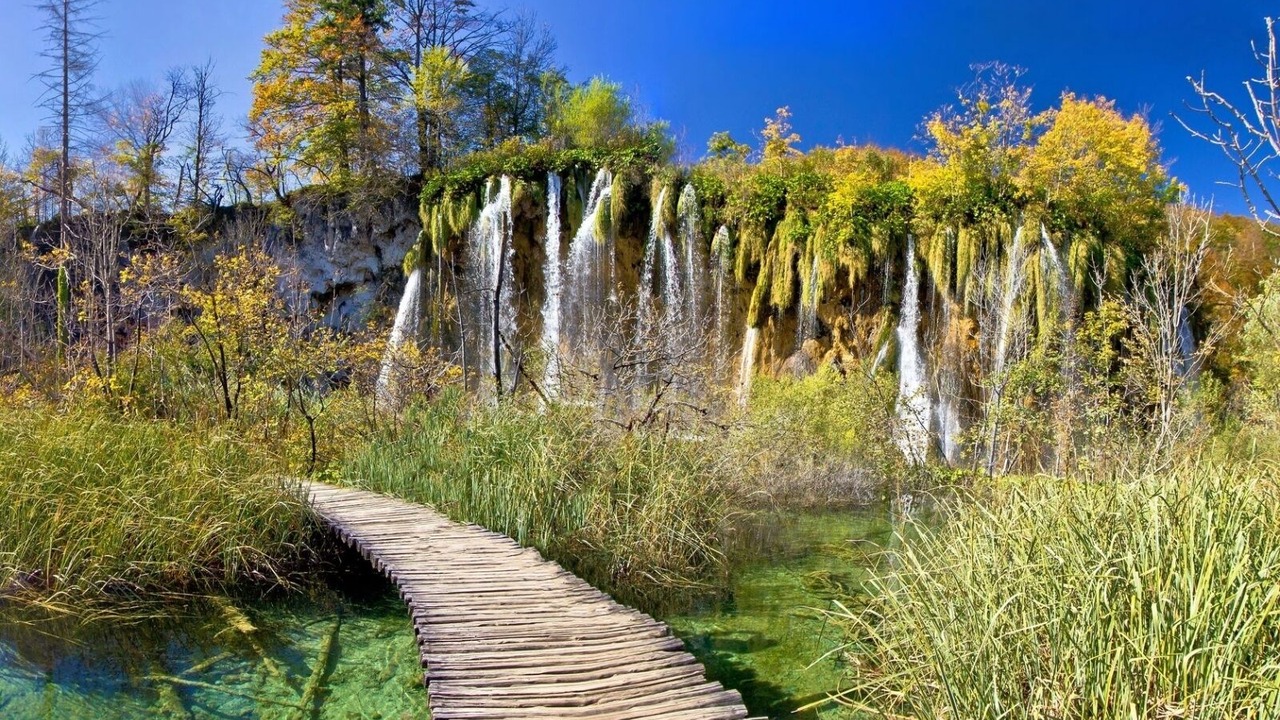 Photo of Others in Rakovica