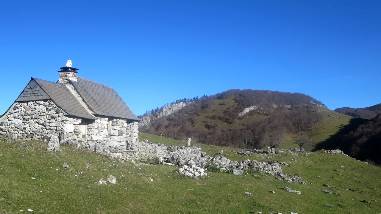 Photo of Others in Antist