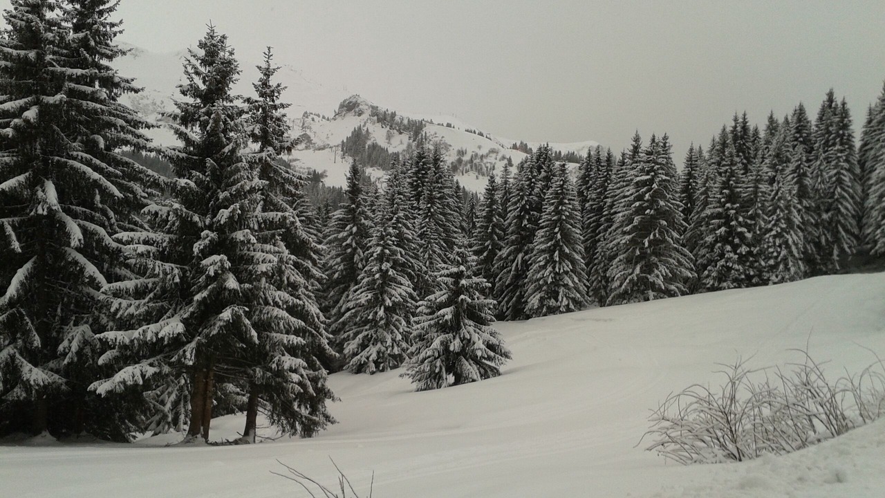 Photo of Others in Samoens