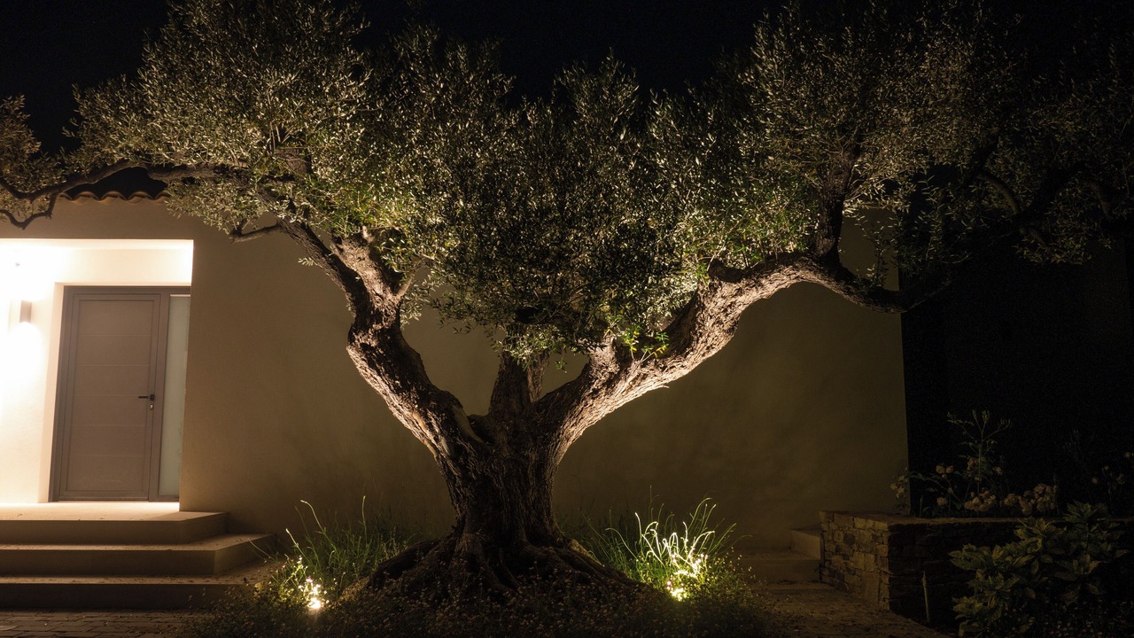 Photo of Outdoor in Grimaud