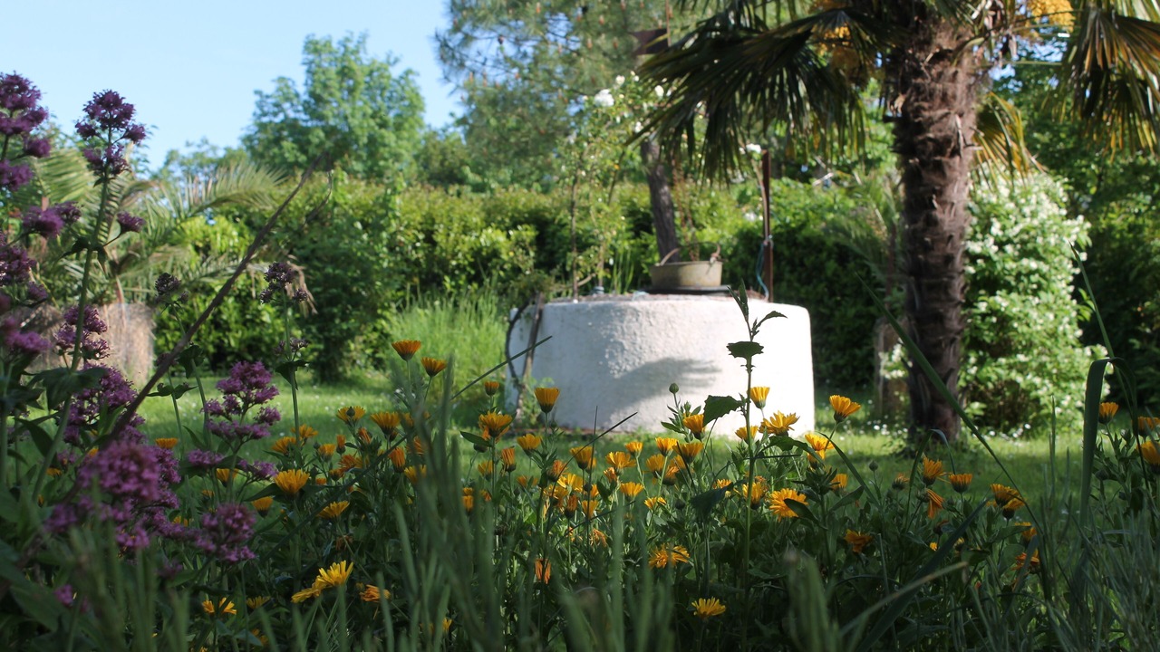 Photo of Outdoor in Goutz
