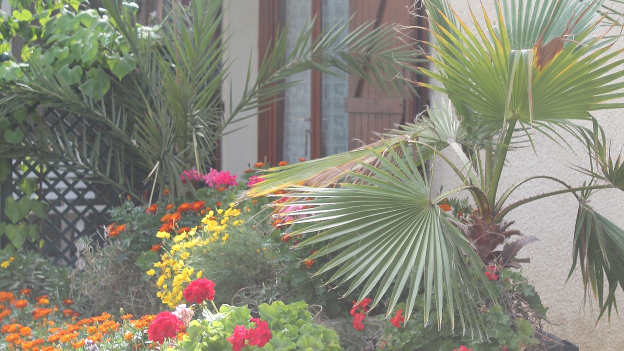 Photo of Outdoor in Goutz