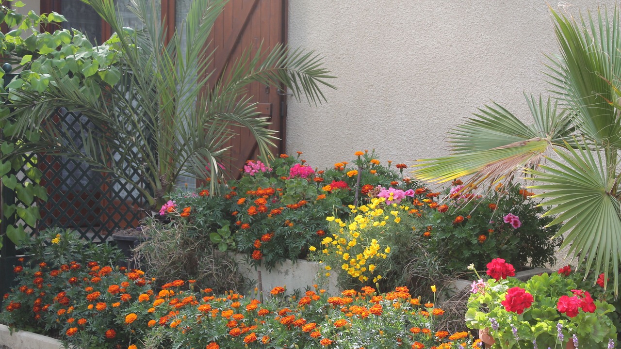 Photo of Outdoor in Goutz