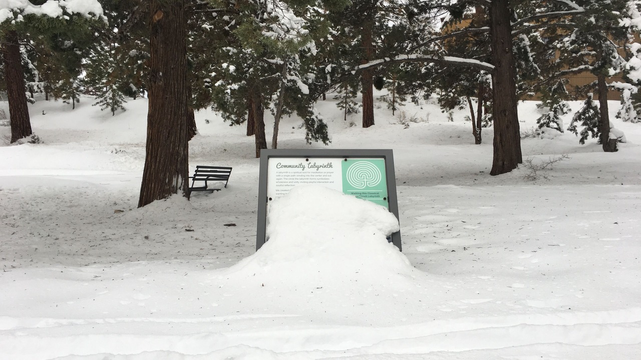 Photo of Others in Larkspur