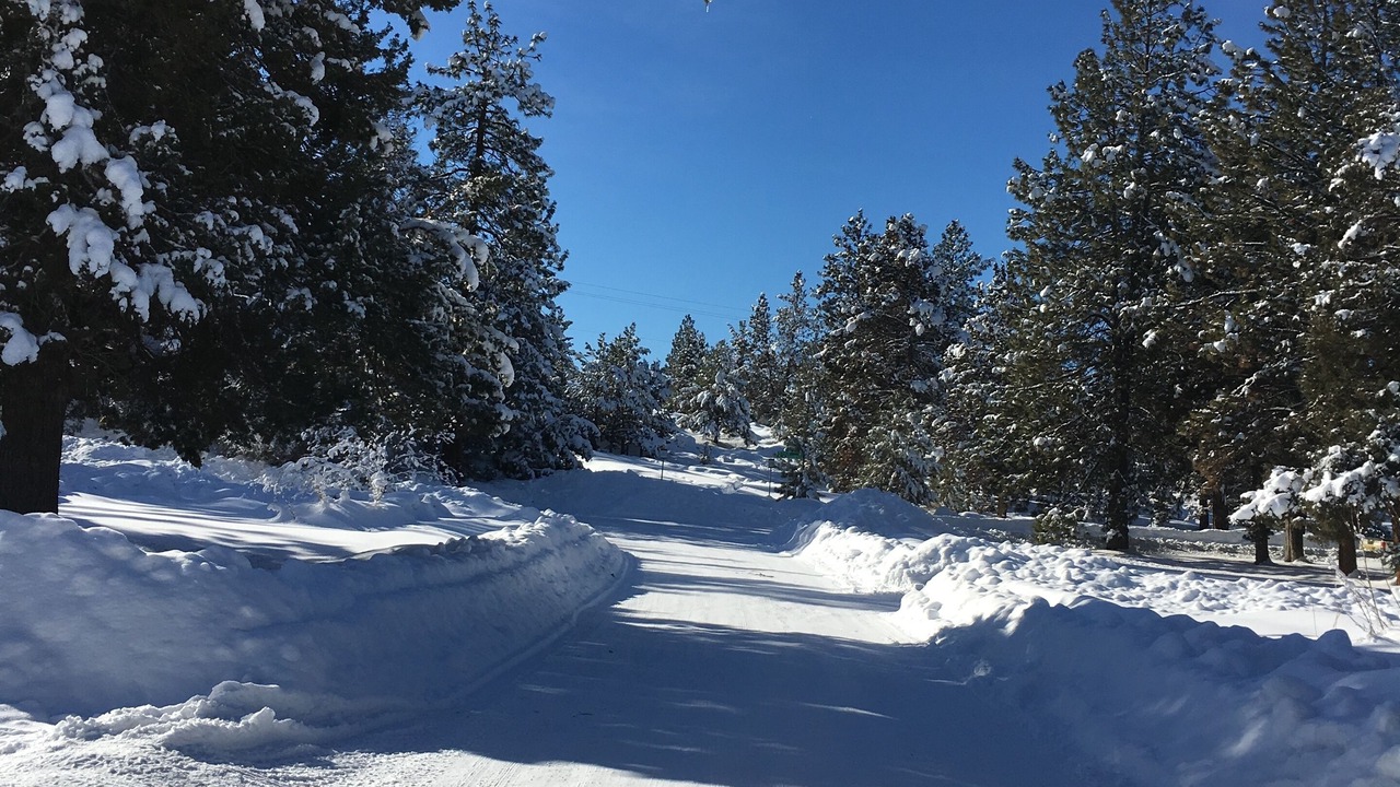 Photo of Others in Larkspur