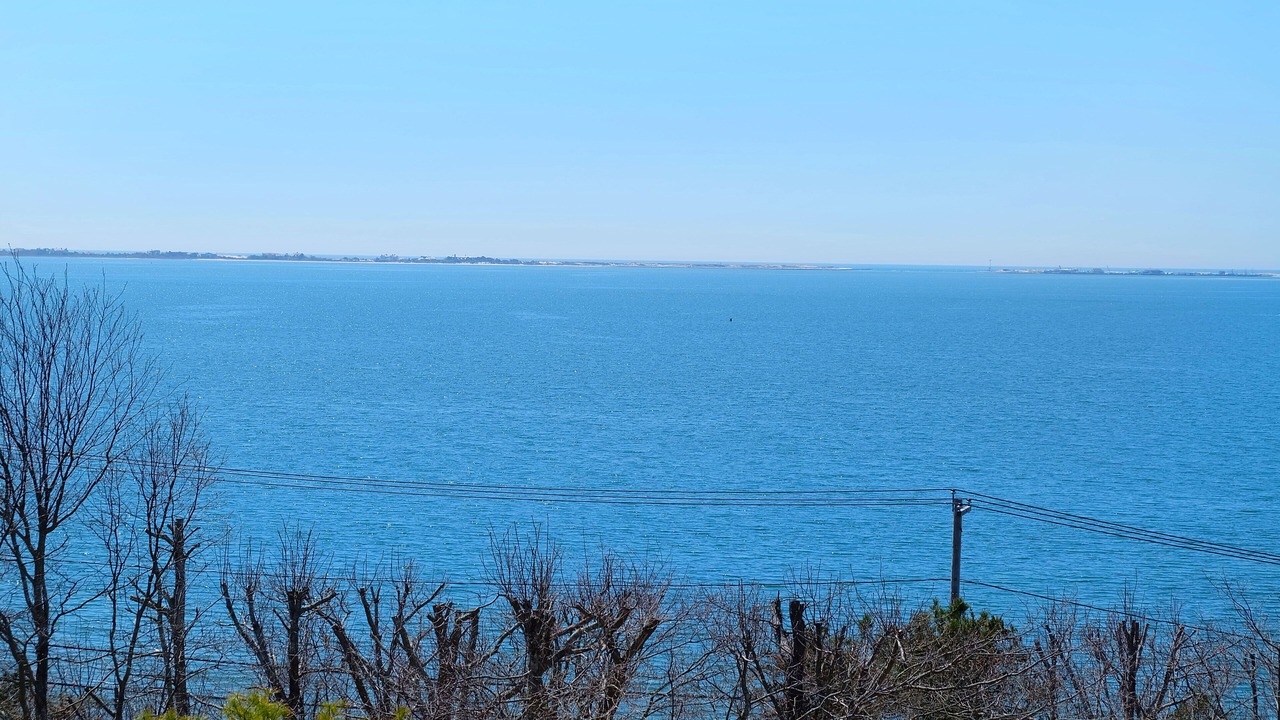 Photo of Others in Hampton Bays