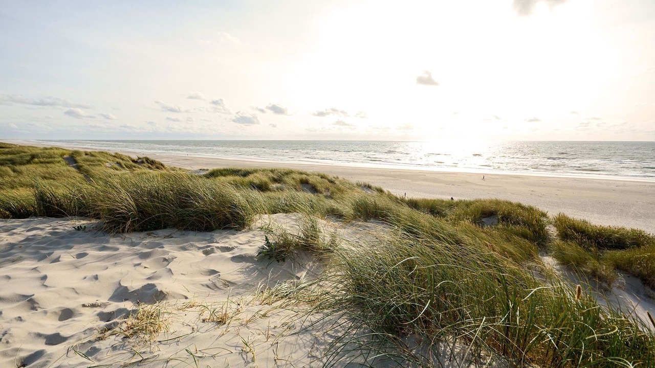 Photo of Others in Udsholt Sand