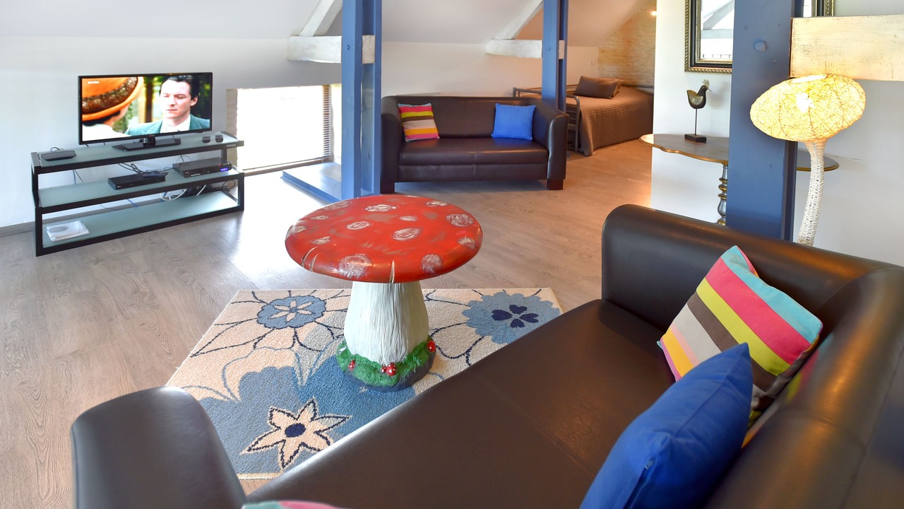 Photo of Livingroom in Saint-Wambert-des-Trois-Vallees
