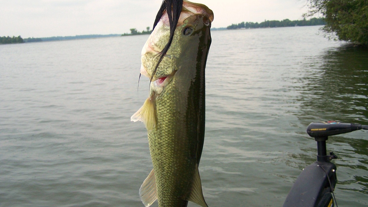 Photo of Others in Eatonton