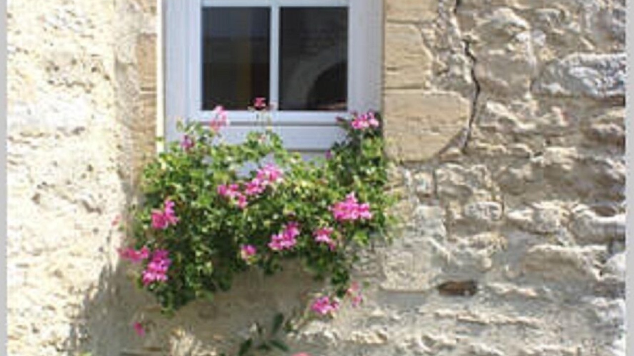 Photo of Outdoor in Russy