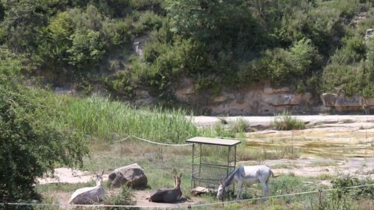 Photo of Outdoor in Viver i Serrateix