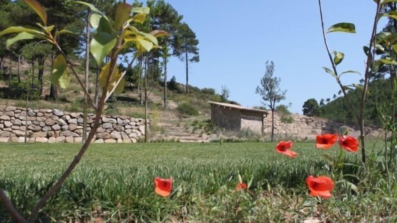 Photo of Outdoor in Viver i Serrateix
